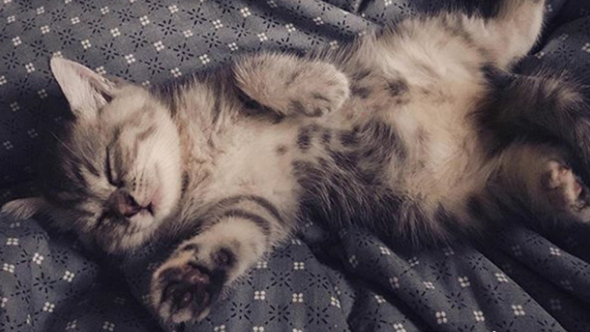 ¿ß¬P¤H«õ¬â¨g§ì¡uį°Ê¤ò«K«K¡v ª¨¶Ì²´¡G¨º¬O§A§À¤Ú